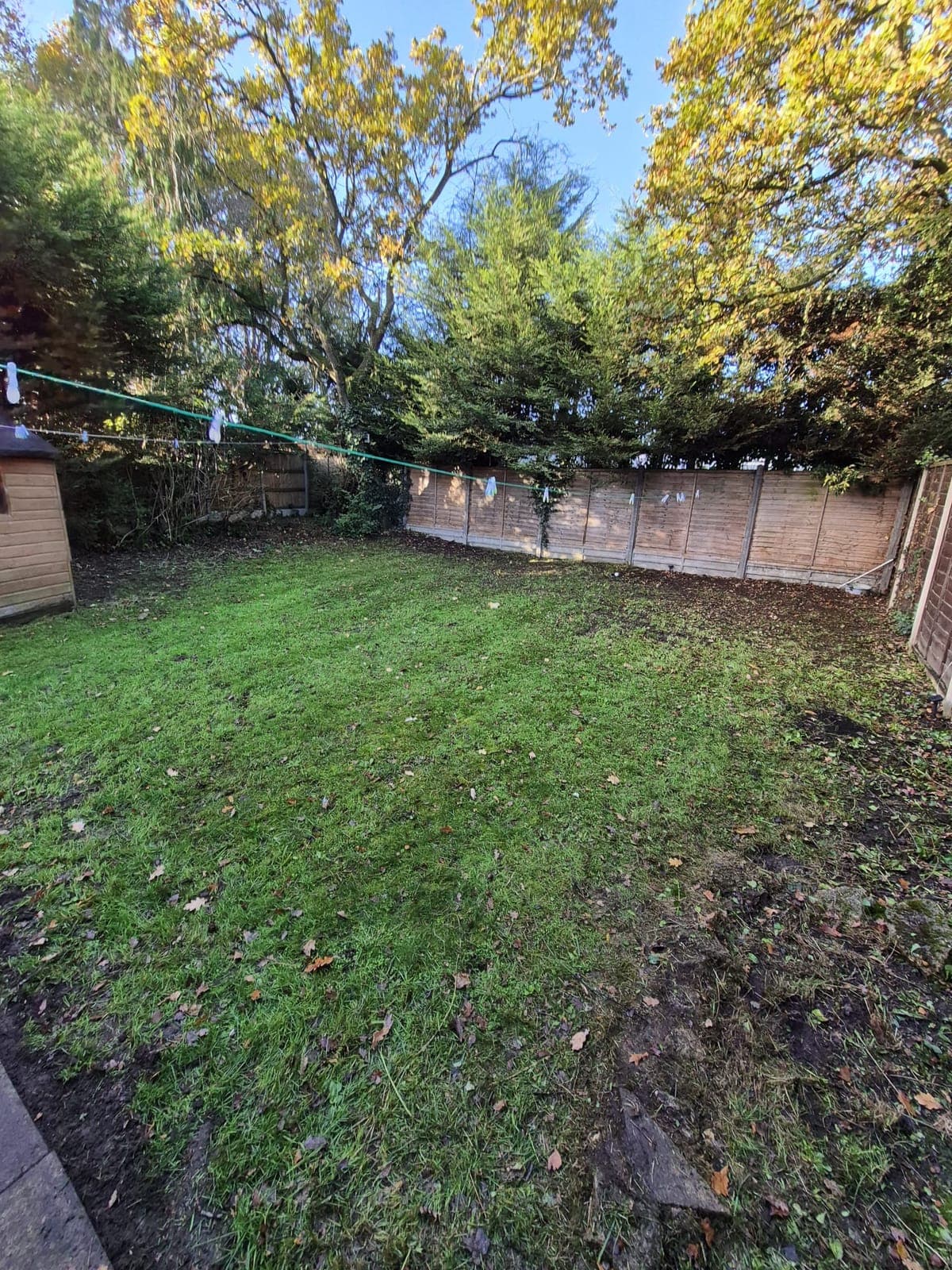 Seasonal leaf tidy after