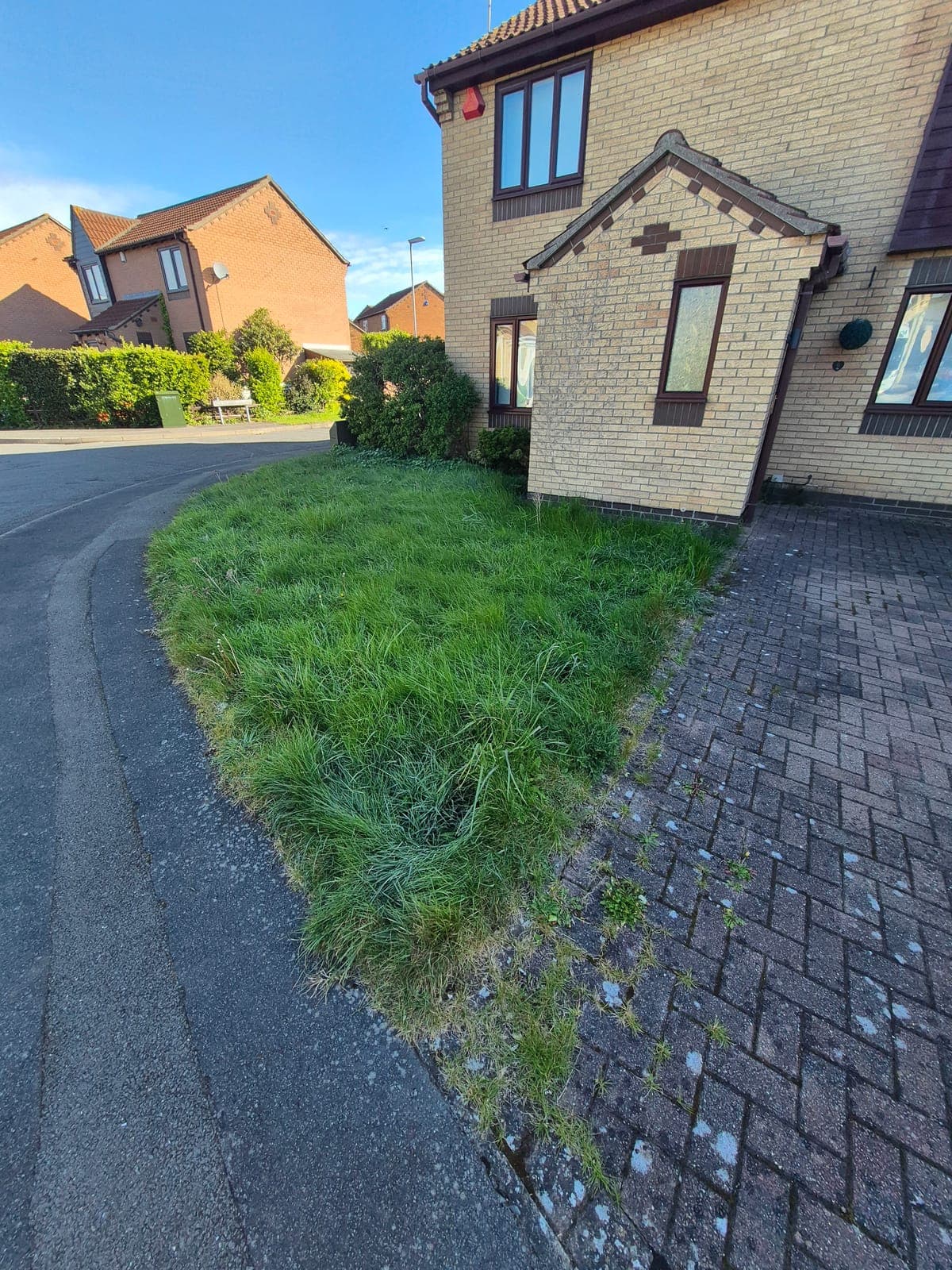 Hedge Trimming before