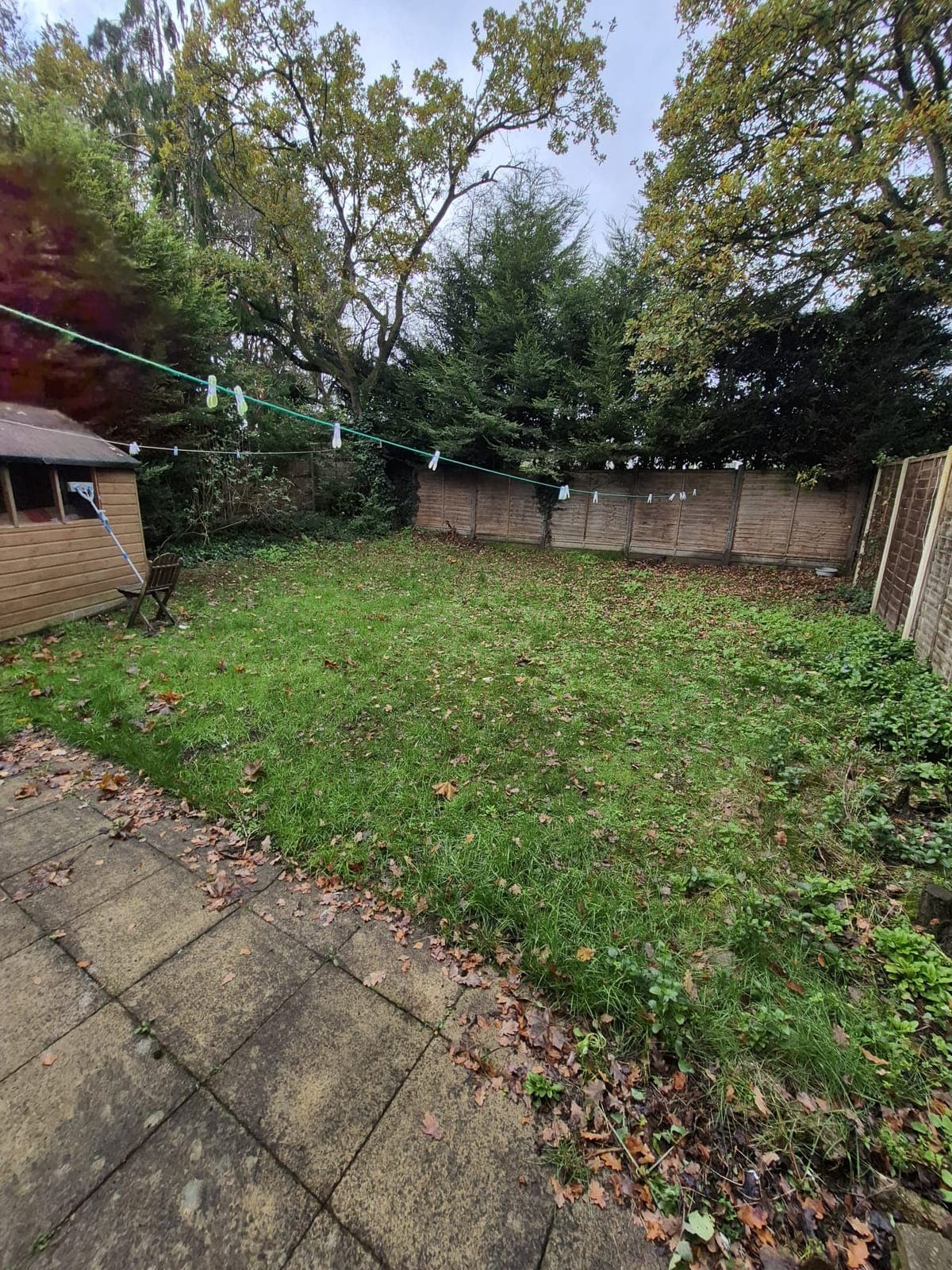 Seasonal leaf tidy before