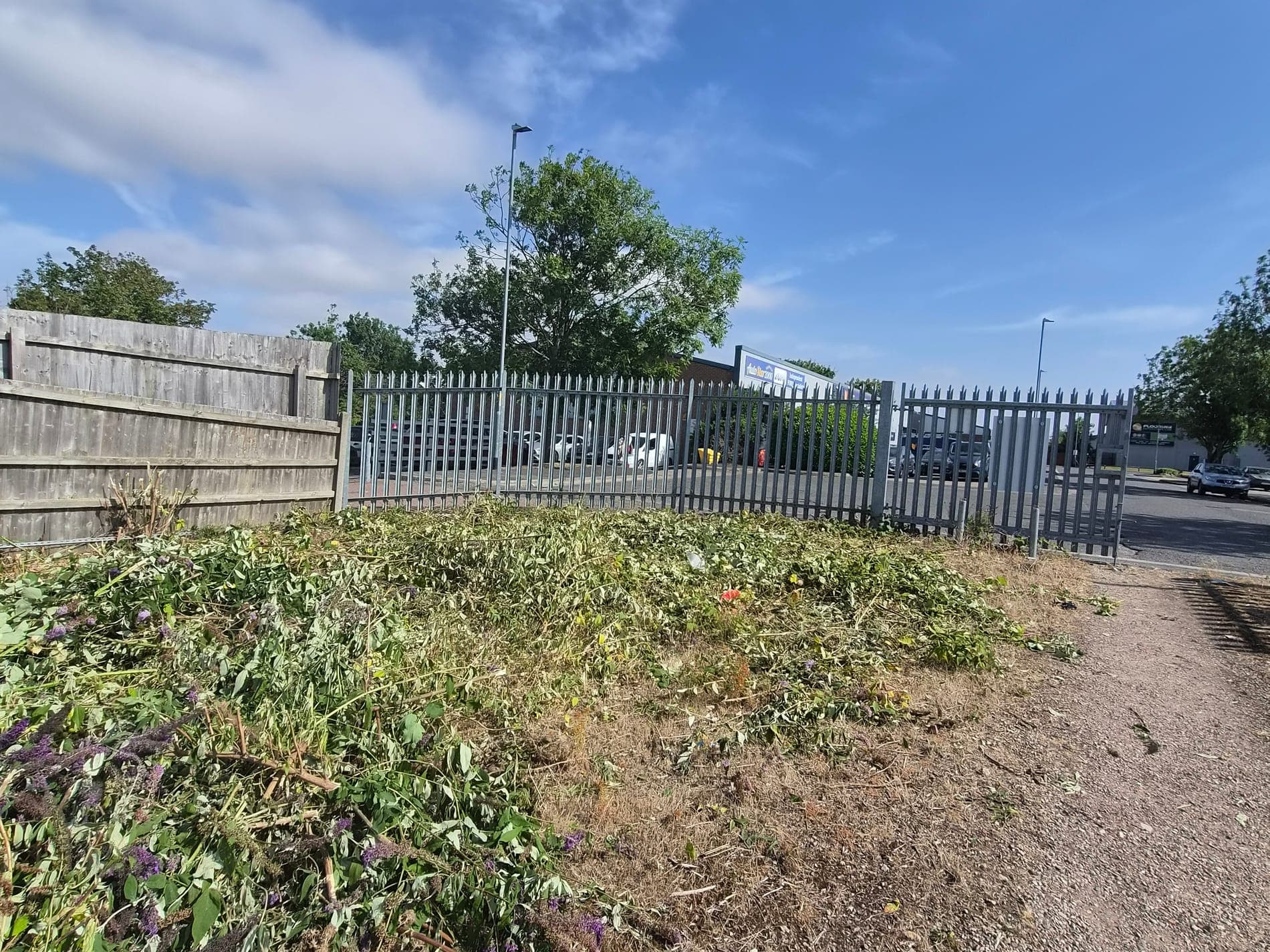 Compound clearance, commercial site, Lincoln after Spade & Blade sorted it
