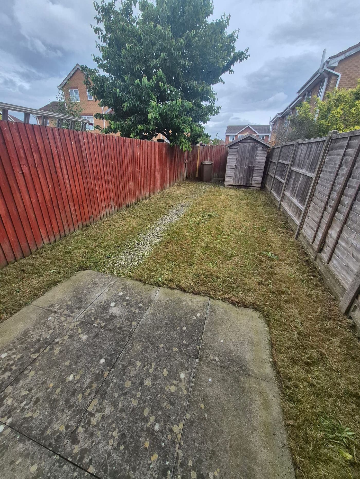 Overgrown back garden cleared and cut, Lincoln after Spade & Blade sorted it