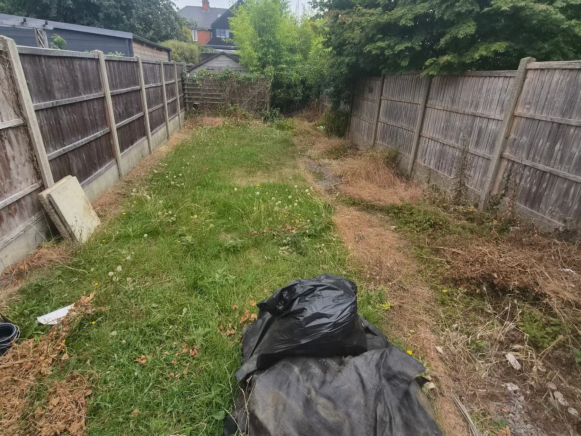 Overgrown back garden mown and edged, Lincoln before Spade & Blade sorted it