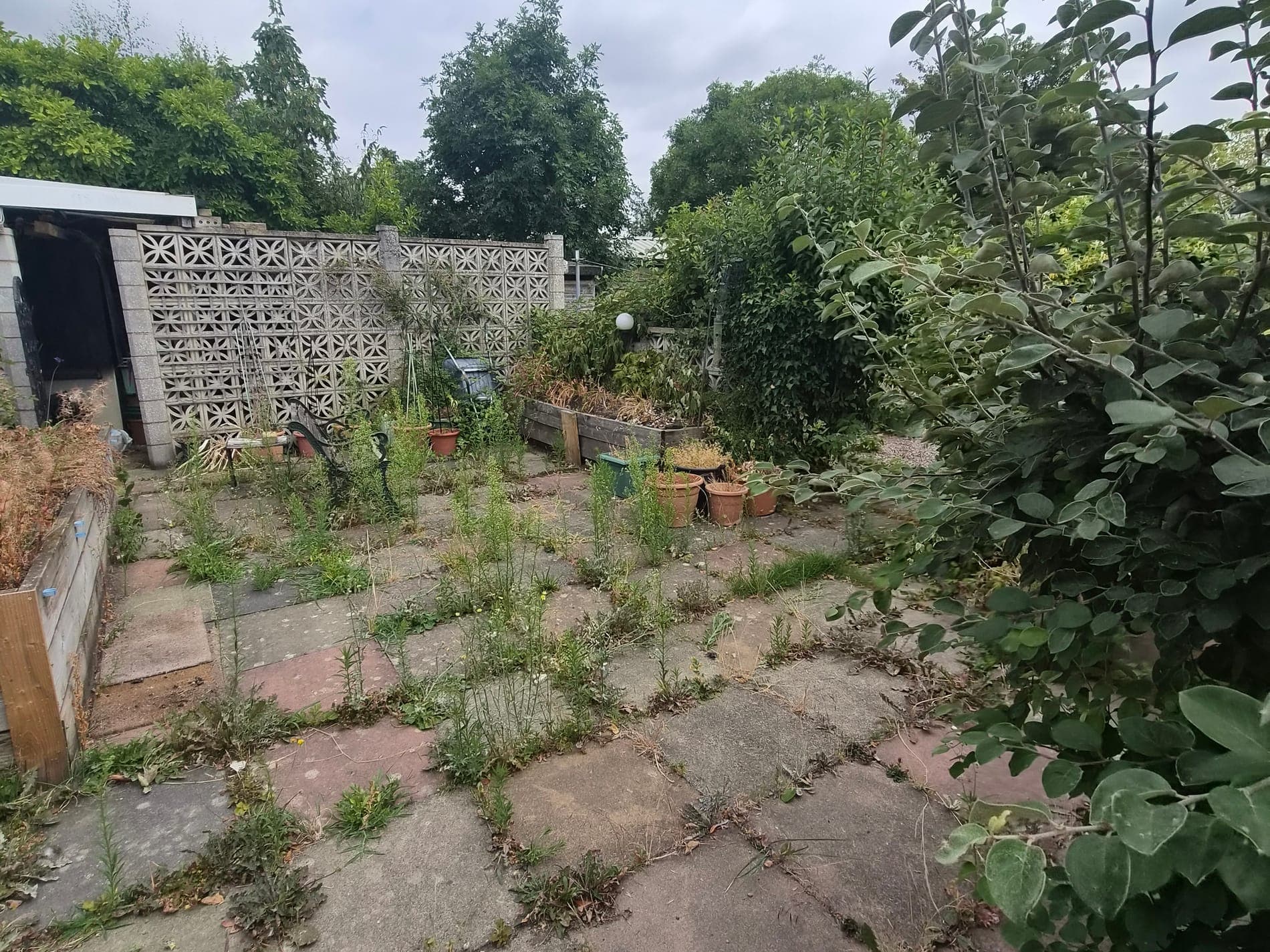 Ornamental garden patio reclaimed, Lincoln before Spade & Blade sorted it
