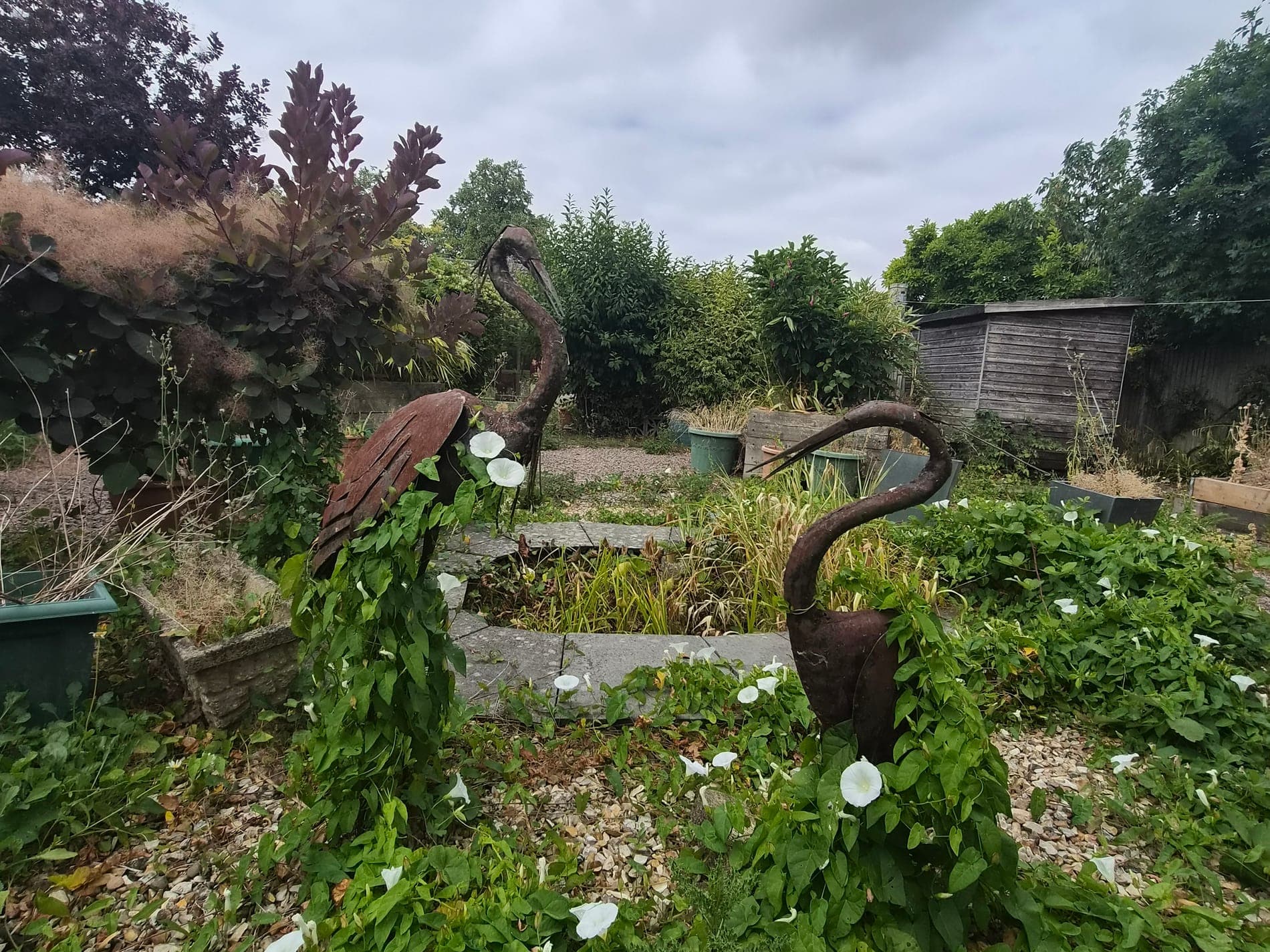 Borders and sculptures cleared of bindweed, Lincoln before Spade & Blade sorted it
