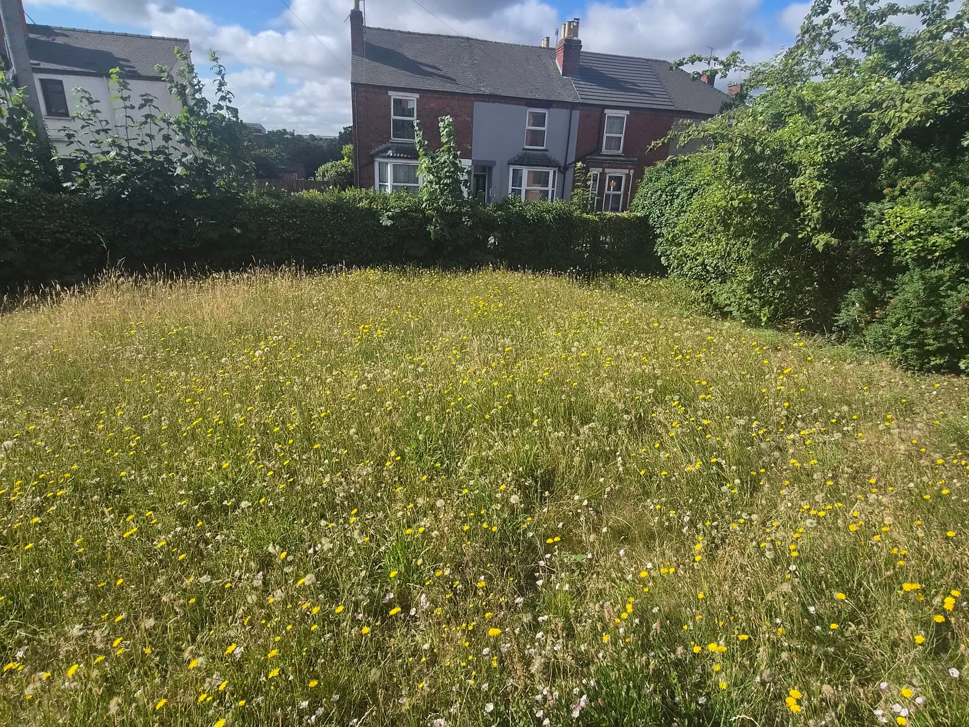 First cut of an overgrown front lawn, Lincoln before Spade & Blade sorted it