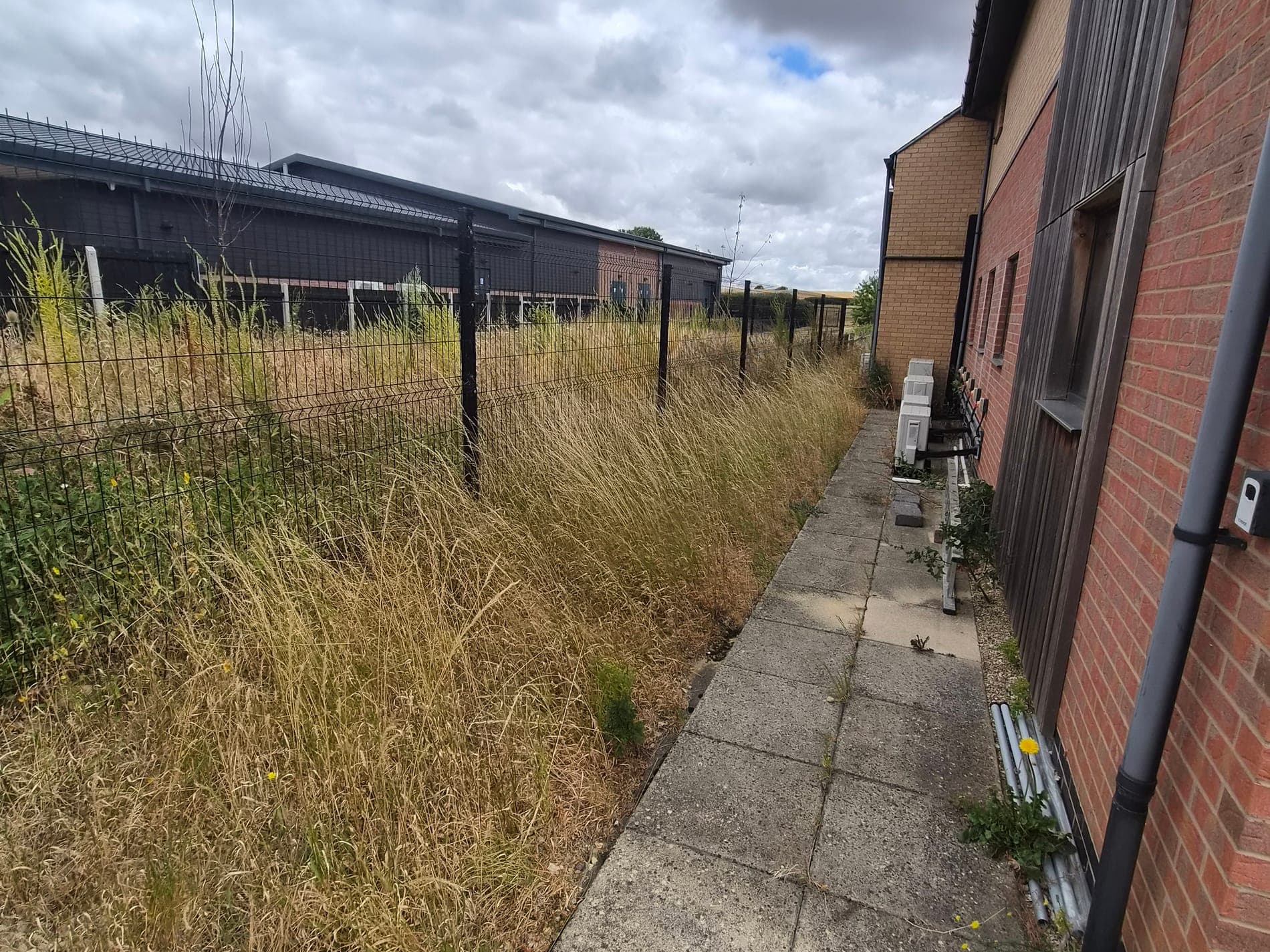 Footpath verges cut back, business premises near Welton before Spade & Blade sorted it