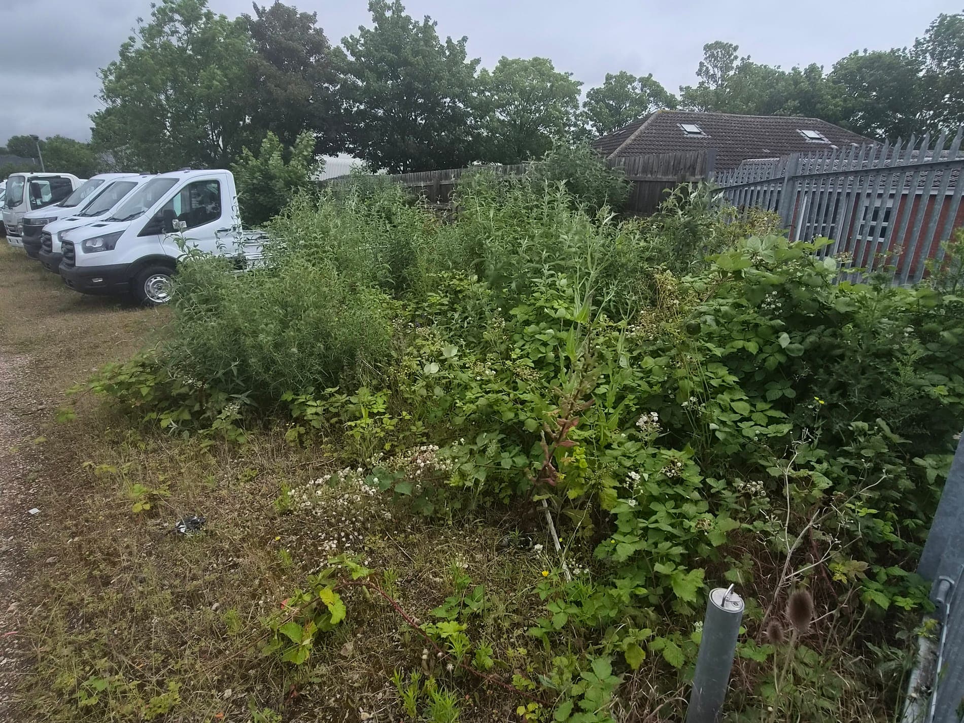 Compound clearance, commercial site, Lincoln before Spade & Blade sorted it
