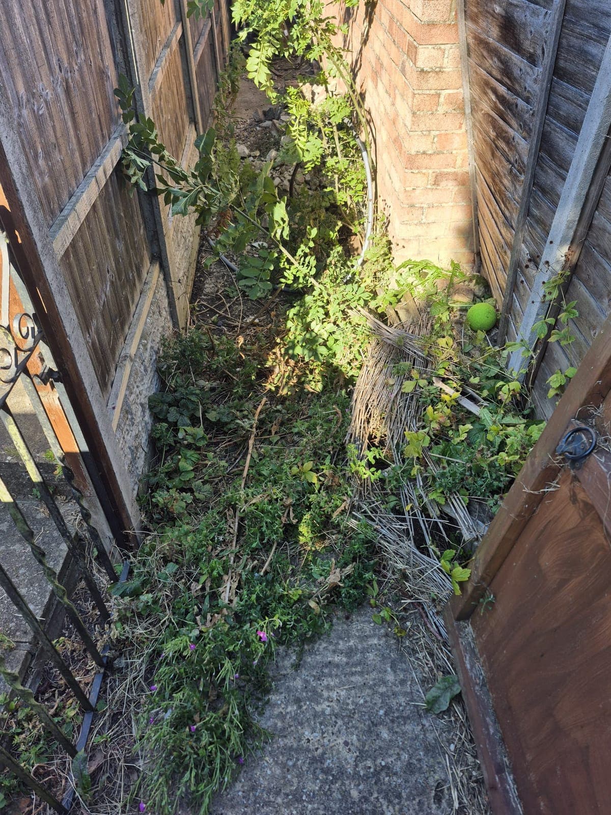 Side path clearance, Lincoln before Spade & Blade sorted it