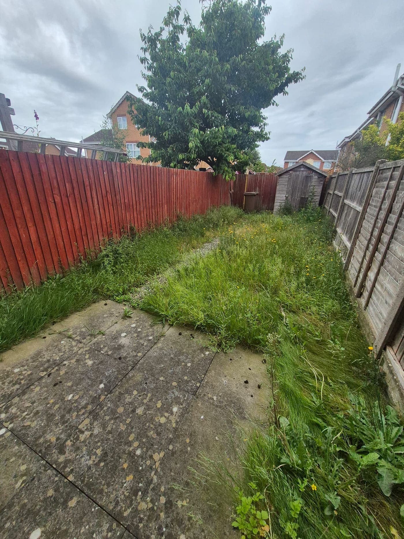 Overgrown back garden cleared and cut, Lincoln before Spade & Blade sorted it