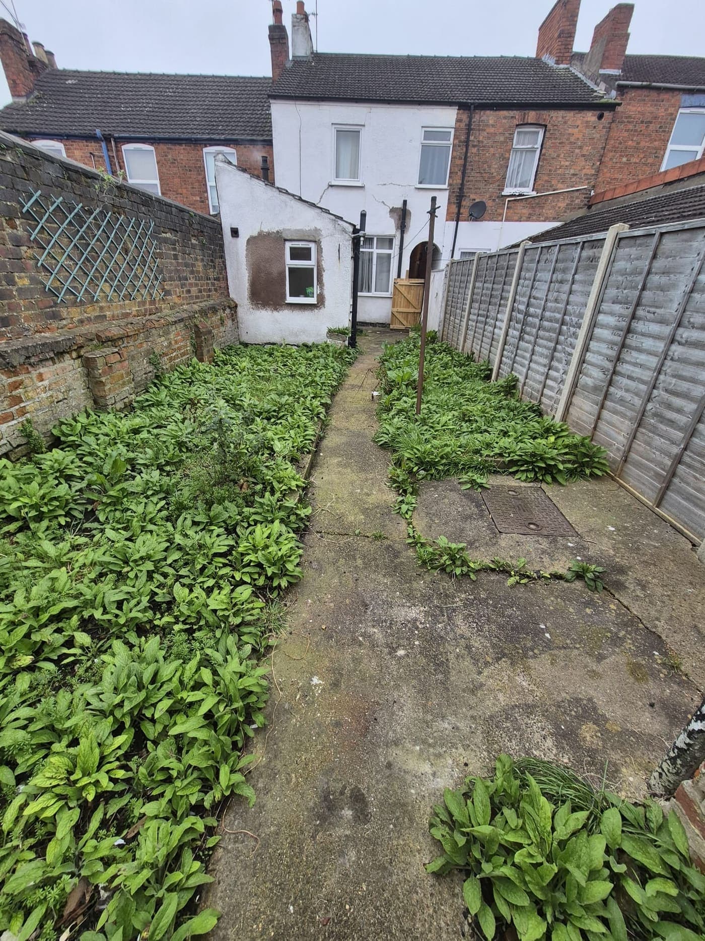 Rear yard weed clearance, Lincoln before Spade & Blade sorted it