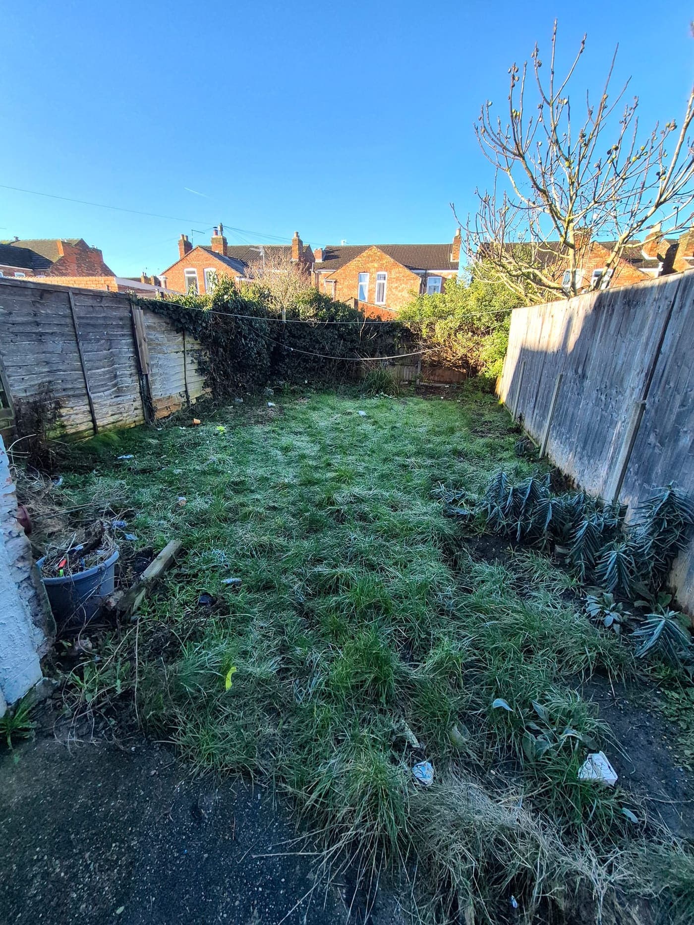 Overgrown garden cut back and cleared, Lincolnshire before Spade & Blade sorted it