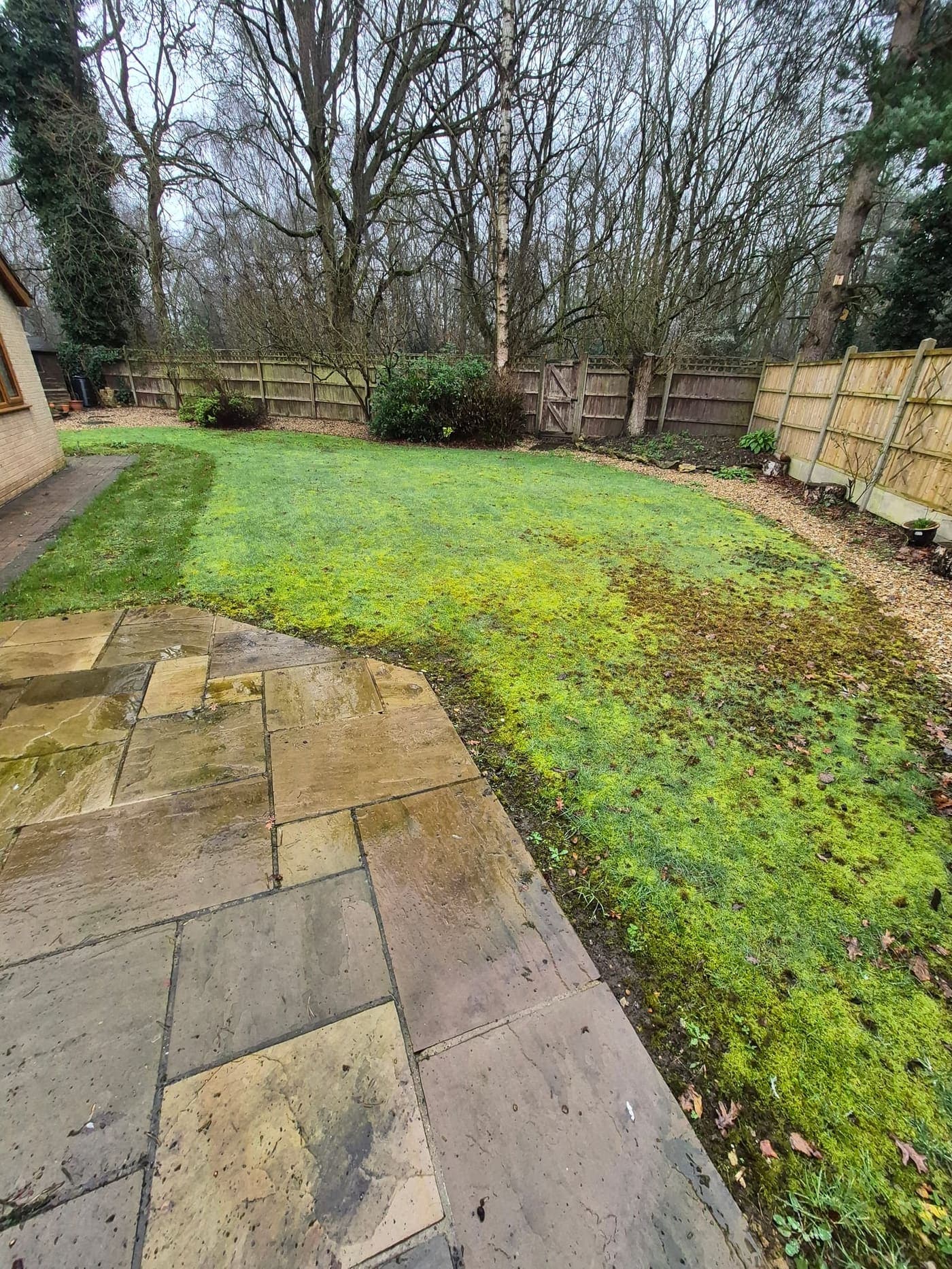 Moss-choked lawn brought back and striped, Birchwood, Lincoln before Spade & Blade sorted it