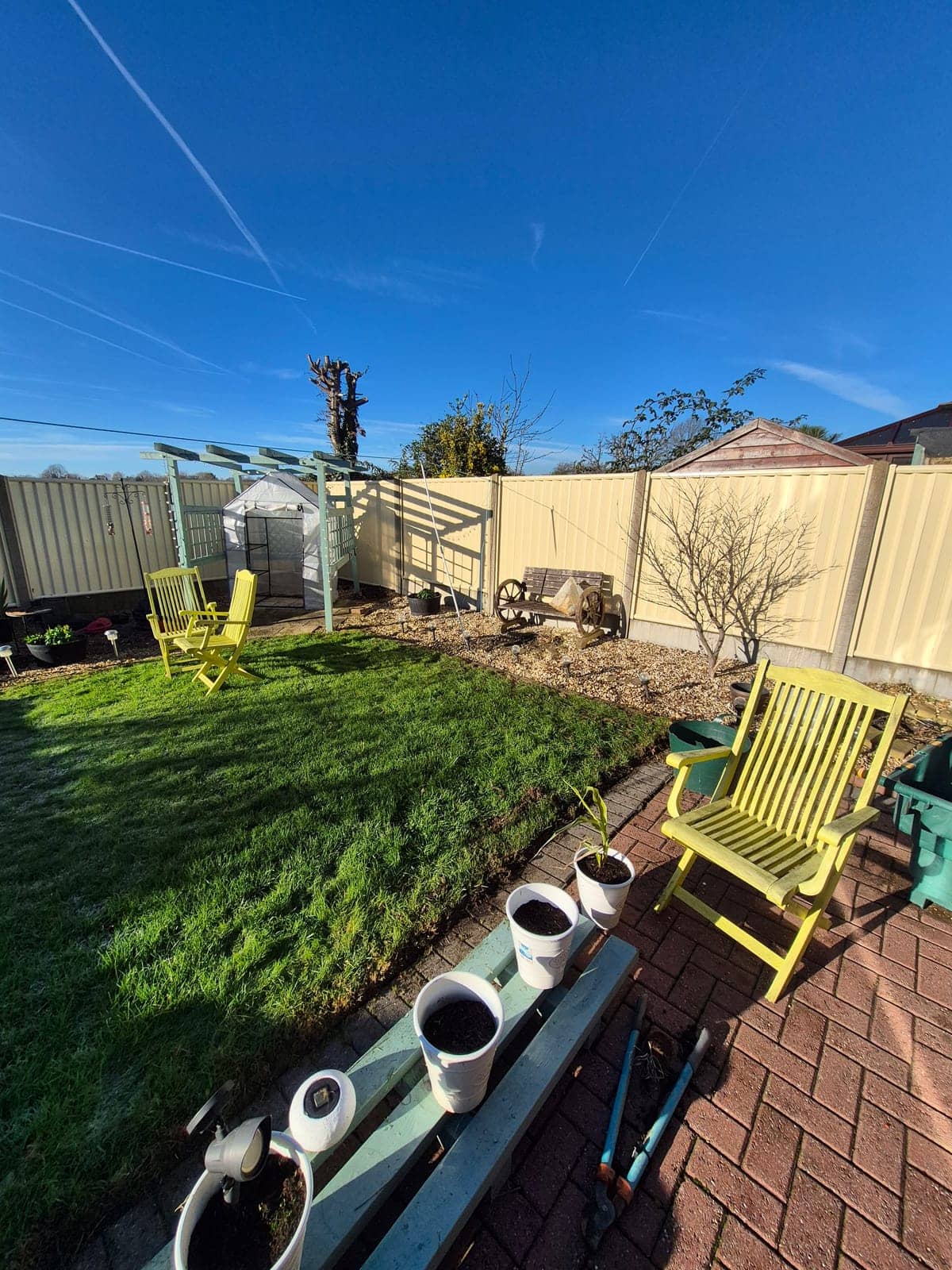 A lush, freshly cut green lawn