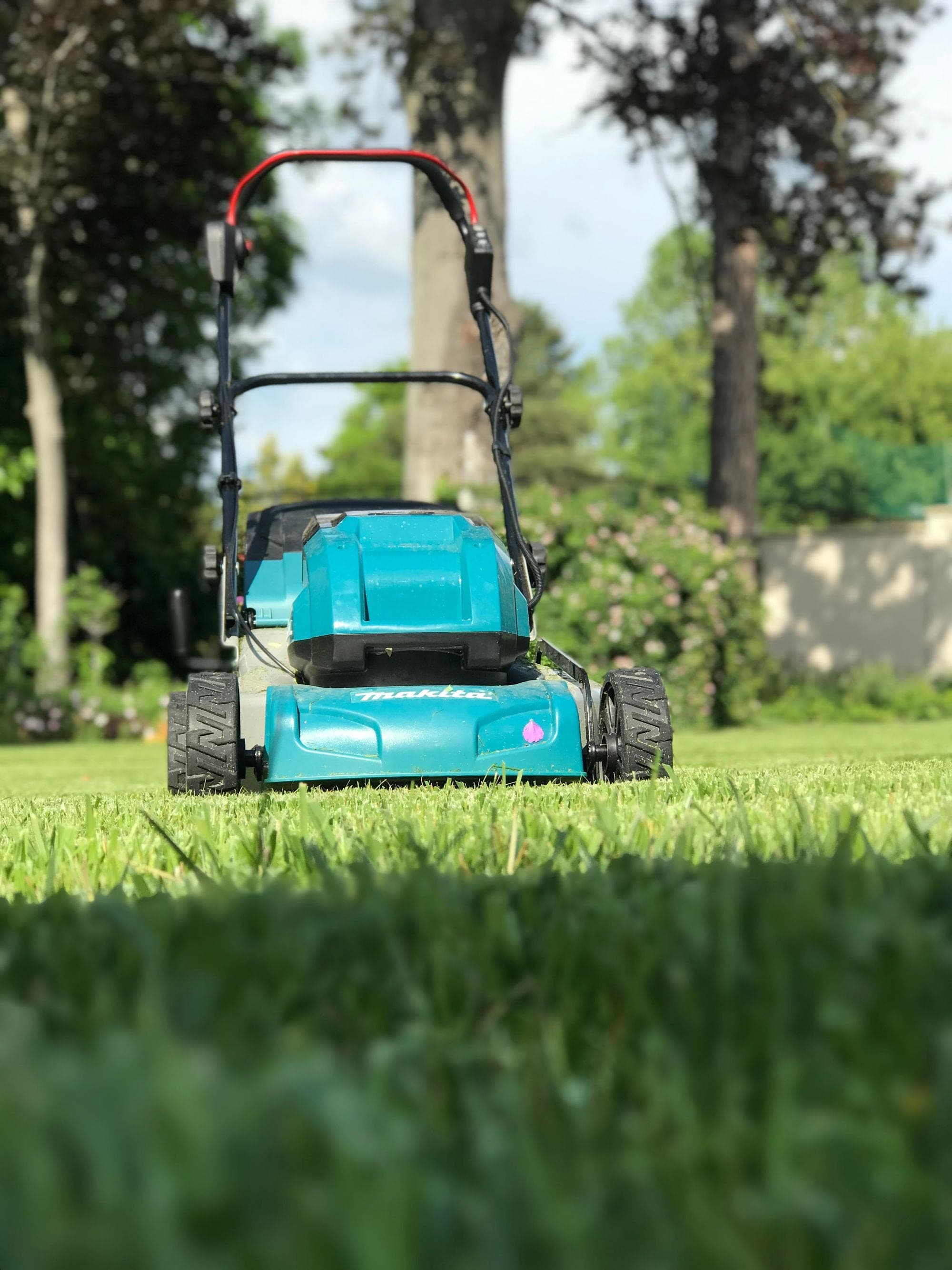 Lawn Treatment in a Lincolnshire garden