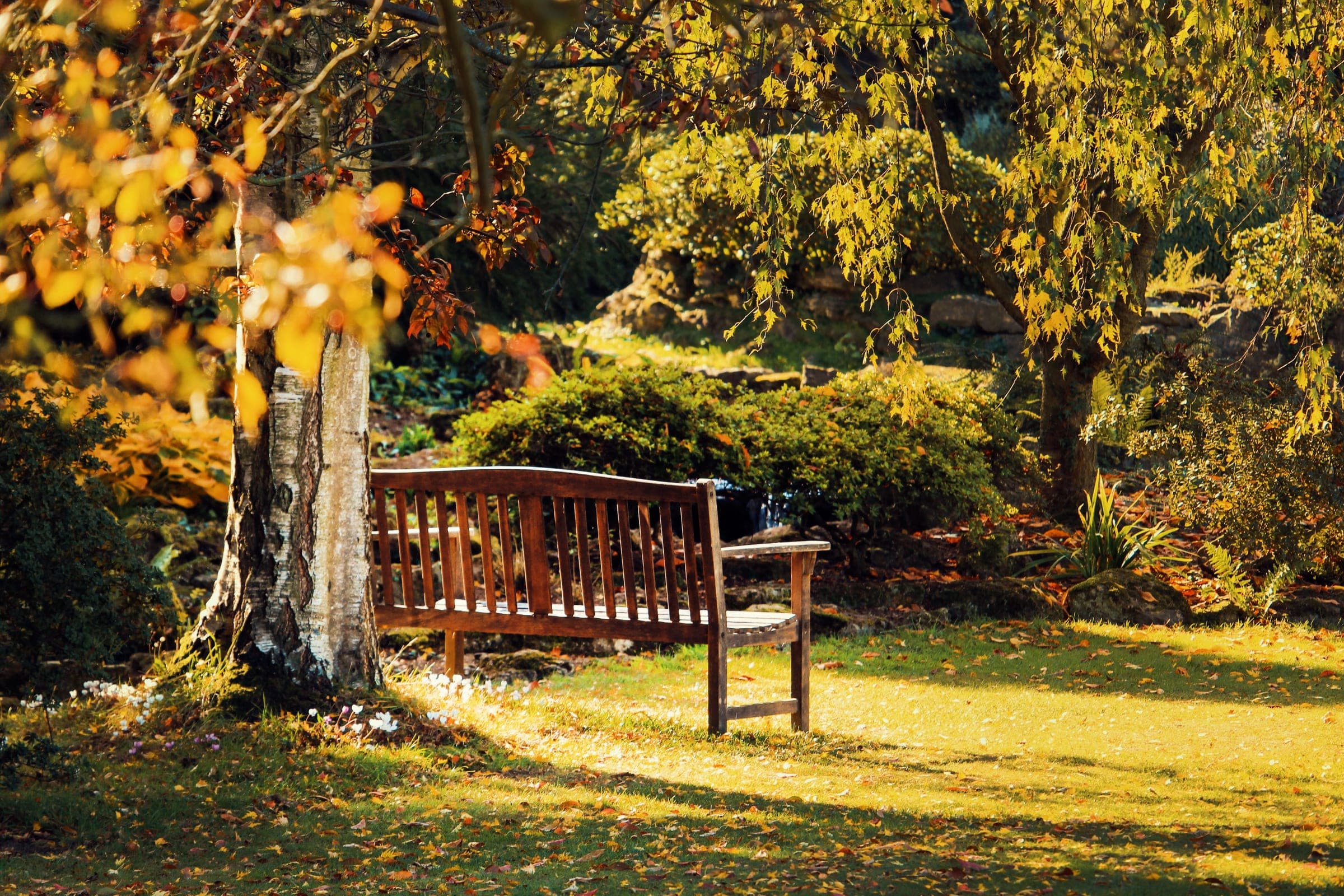 Seasonal Maintenance in a Lincolnshire garden