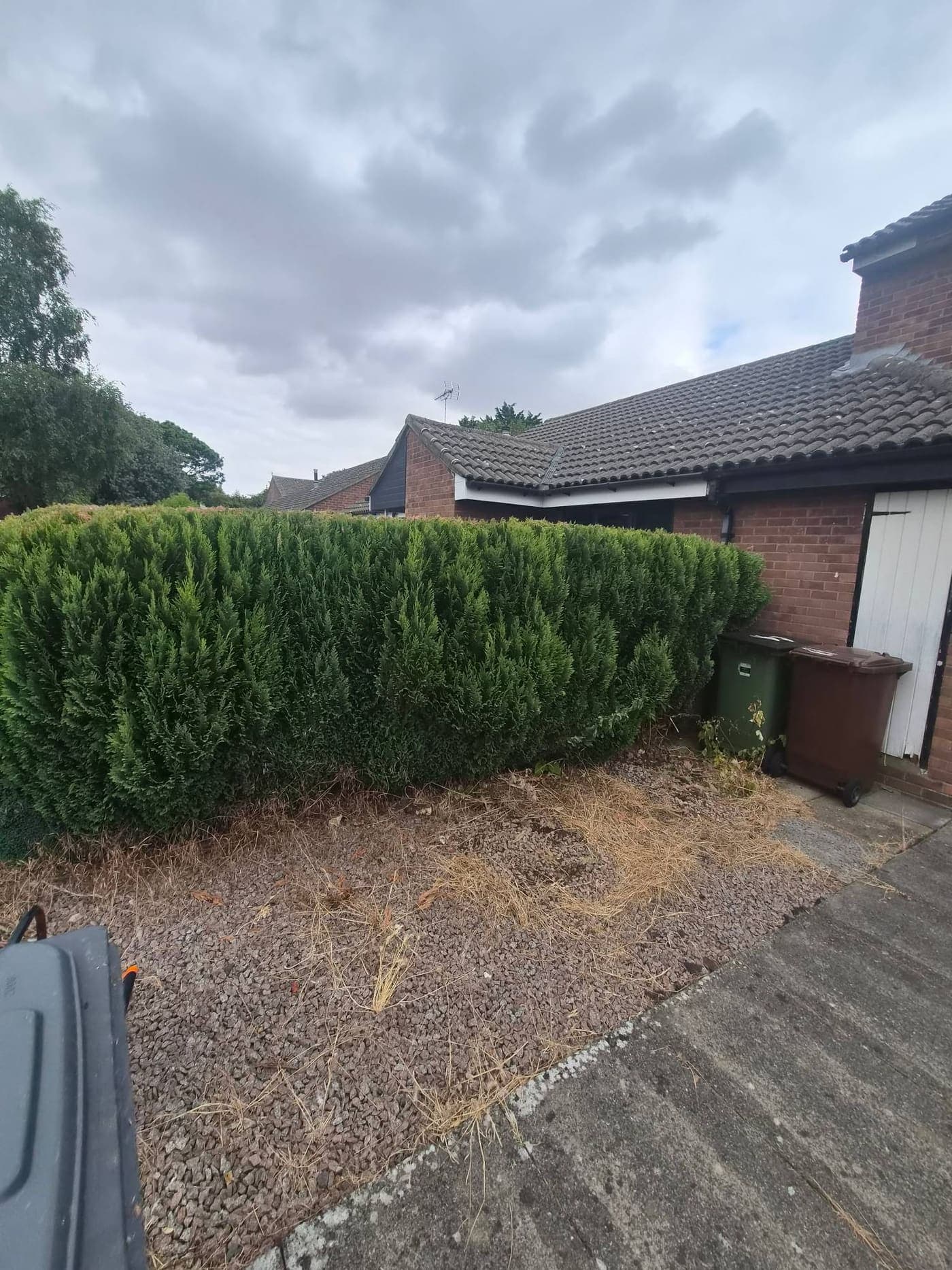 Hedge Trimming in a Lincolnshire garden