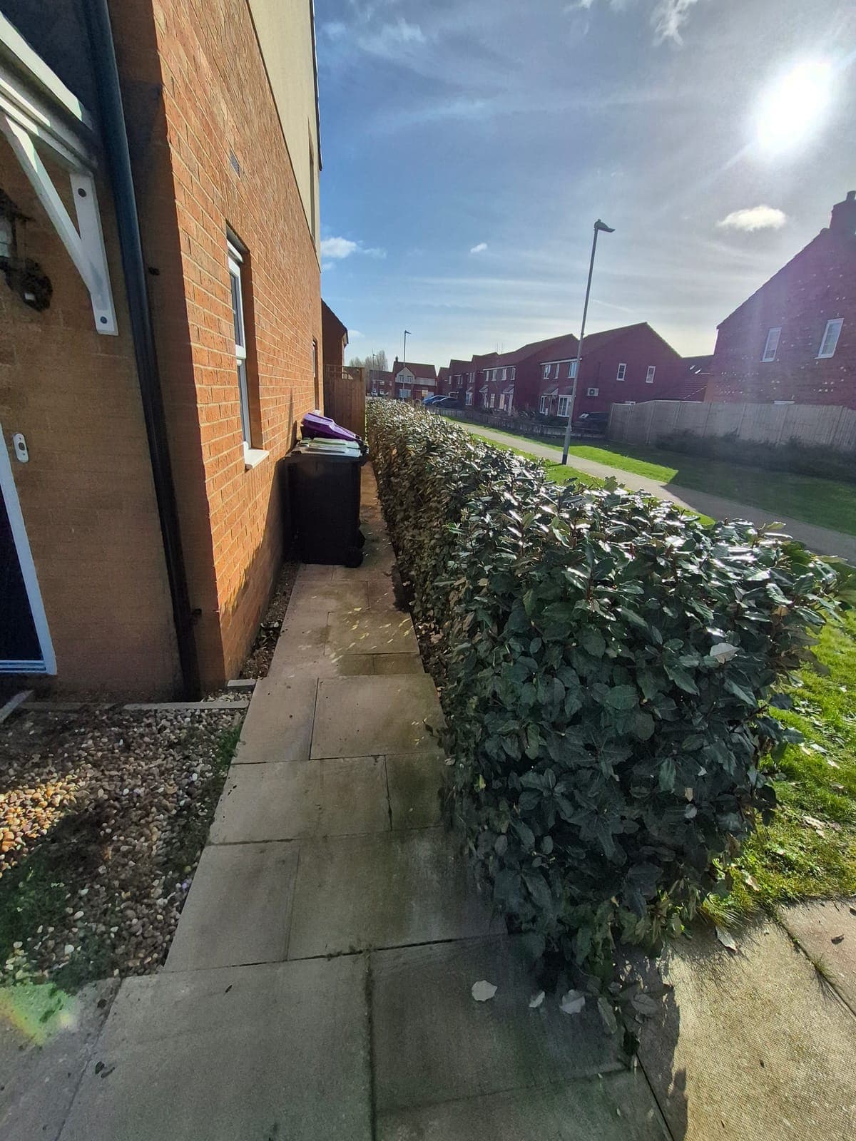 A neatly trimmed hedge in a Lincolnshire garden