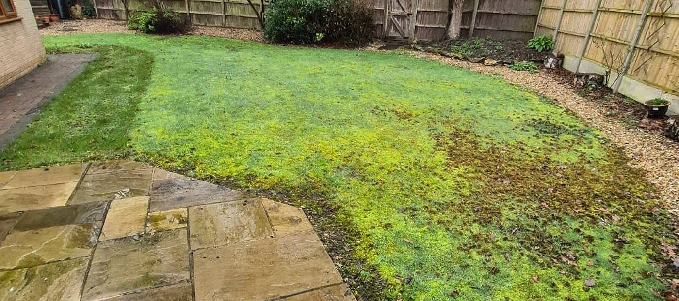 Lawn Mowing & Care in a Lincolnshire garden