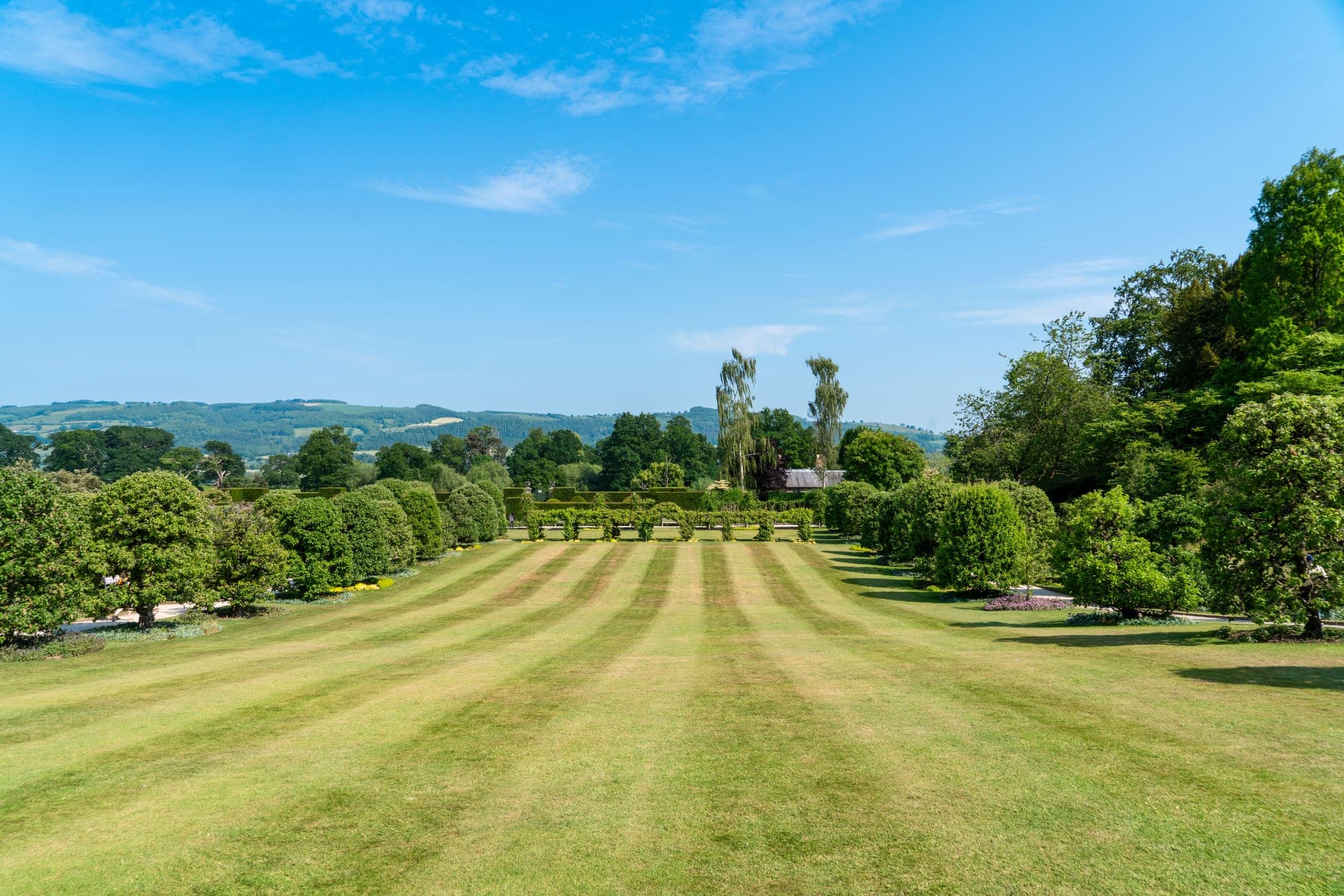 A freshly mown striped lawn in a well-kept garden