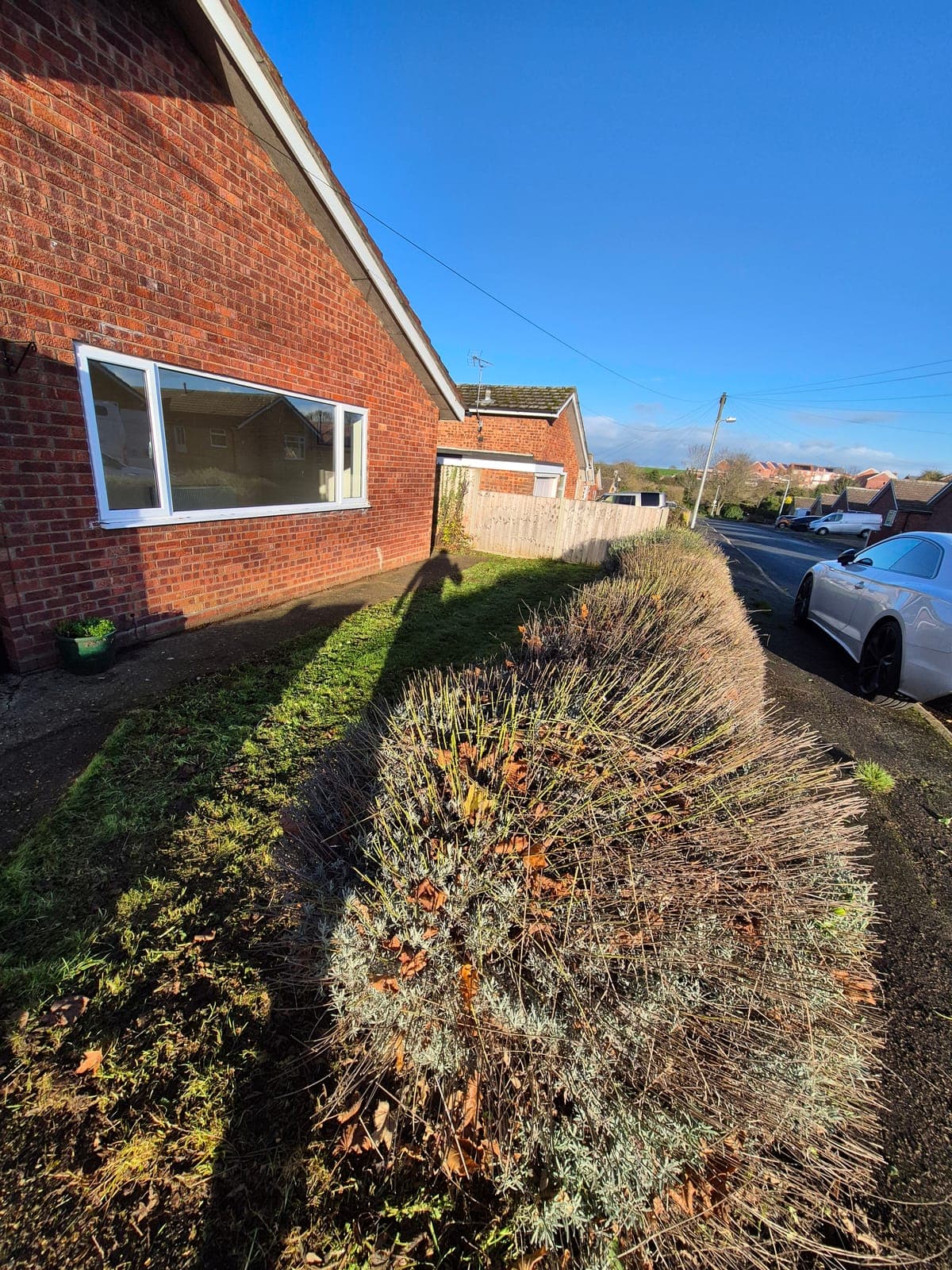 Planting & Borders in a Lincolnshire garden
