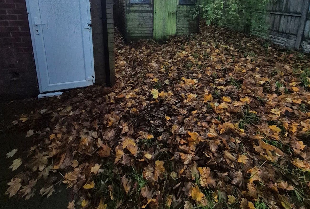 Seasonal Maintenance in a Lincolnshire garden