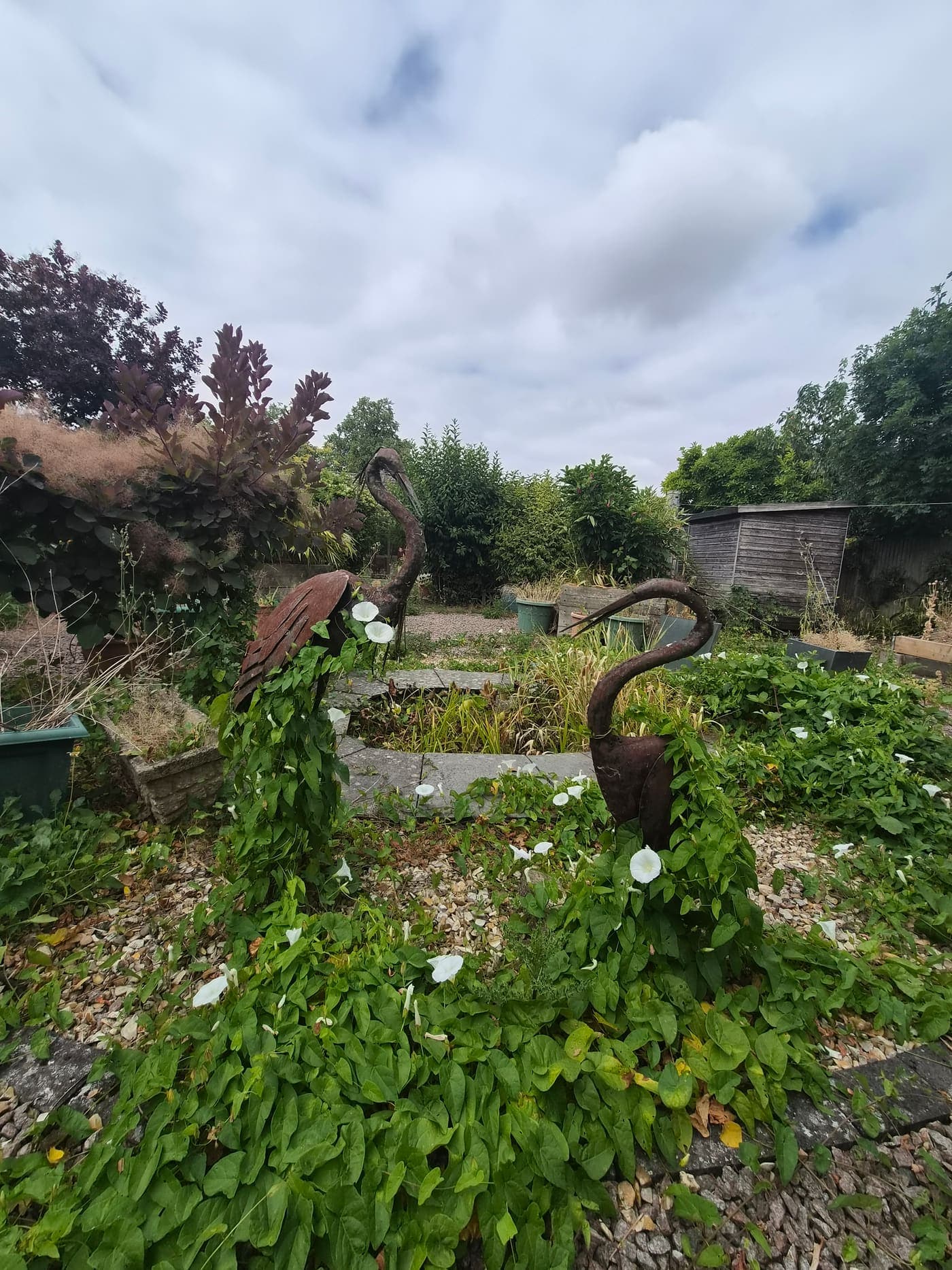 Garden Tidy-ups & Clearance in a Lincolnshire garden